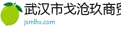 武汉市戈沧玖商贸有限公司