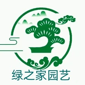 南京绿植租赁