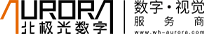 北极光数字