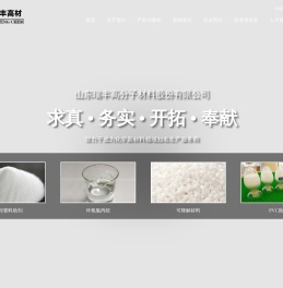 山东瑞丰高分子材料股份有限公司
