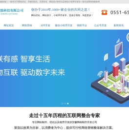 池州网站关键词优化/网站设计制作/微信小程序开发/百度排名