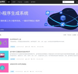 领先的互联网科技公司