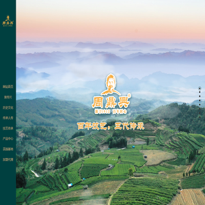 福建周鼎兴茶业有限公司