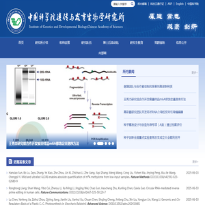 中国科学院遗传与发育生物学研究所