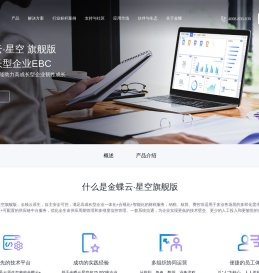 金蝶云星空