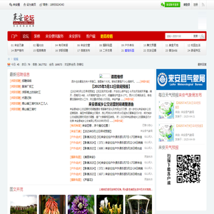 来安论坛