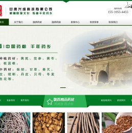 陇西兴中药坊