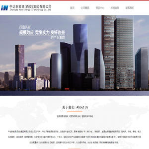 中达新能源(西安)集团有限公司
